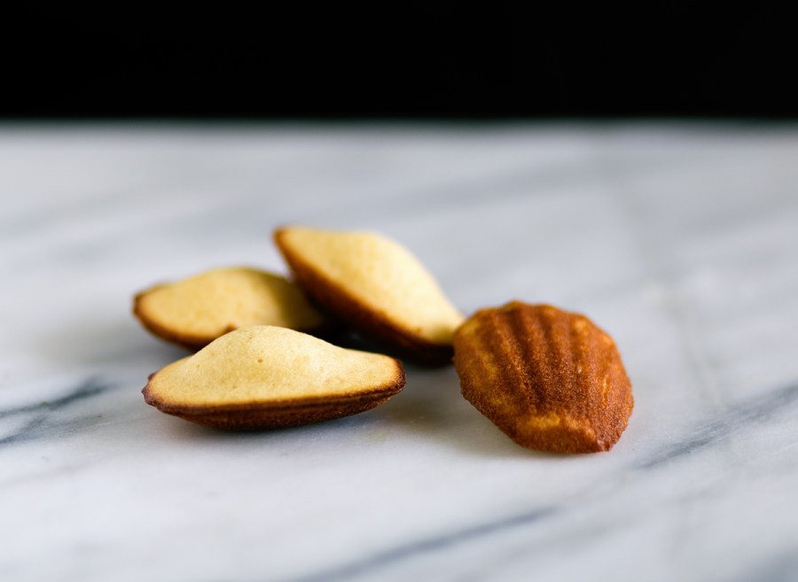Orange Blossom Madeleines
