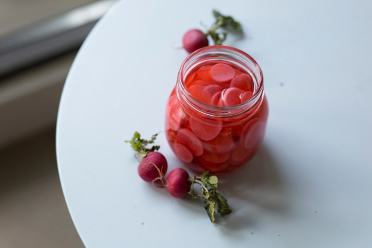 pickledradishes_1